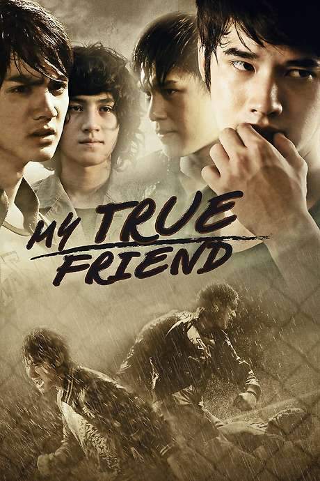 My True Friend